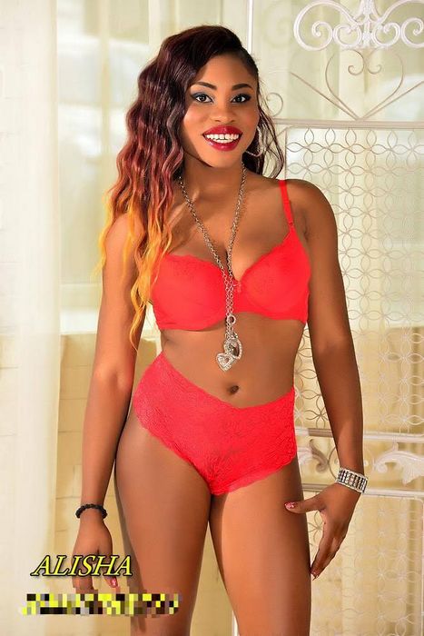 Ночные бабочки: Искусство Интимного Досуга без Реакции